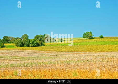 Campo in un villaggio svizzero di Yverdon-les-Bains Les Bains in Jura Nord Vaudois quartiere di Canton Vaud, Svizzera. Foto Stock