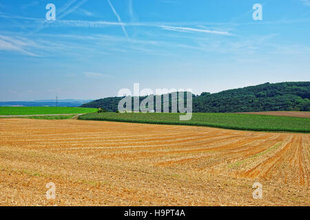 Campo in un villaggio svizzero, Yverdon les Bains in Jura Nord Vaudois quartiere di Canton Vaud, Svizzera. Foto Stock