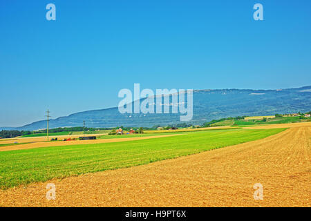 Campo in un villaggio svizzero di Yverdon-les-Bains Les Bains in Jura Nord Vaudois quartiere di Canton Vaud, Svizzera. Foto Stock