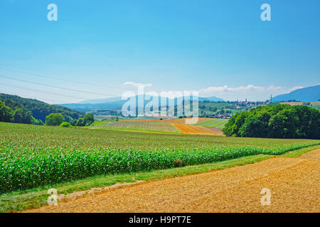 Campo in un villaggio svizzero, Yverdon les Bains di Jura Nord Vaudois quartiere di Canton Vaud, Svizzera. Foto Stock