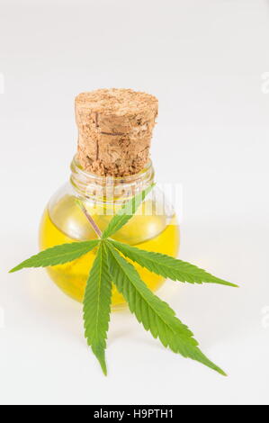 Piante di marijuana e olio di cannabis su sfondo bianco Foto Stock