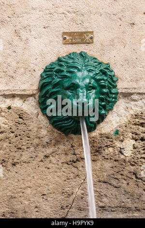 Testa di leone fontana sgorga l'acqua. Foto Stock