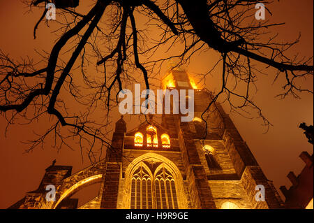 Swidnica, Polonia, 24 Nov 2016 nella cattedrale di nebbia, il credito: Kazimierz Jurewicz/Alamy Live News Foto Stock