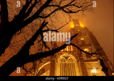 Swidnica, Polonia, 24 novembre 2016 Cattedrale nella nebbia, foto Kazimierz Jurewicz/Alamy Live News Foto Stock