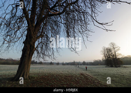 Nonsuch Park, CHEAM SURREY, Regno Unito. Il 26 novembre 2016. Era una fredda e il pupazzo di neve per iniziare la giornata al Parco Nonsuch, Cheam, Surrey. Credito: Julia Gavin UK/Alamy Live News Foto Stock