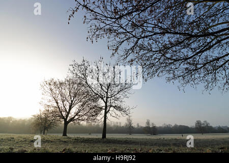 Nonsuch Park, CHEAM SURREY, Regno Unito. Il 26 novembre 2016. Era una fredda e il pupazzo di neve per iniziare la giornata al Parco Nonsuch, Cheam, Surrey. Credito: Julia Gavin UK/Alamy Live News Foto Stock