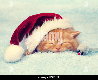 Little Red kitten indossando Santa hat dormire su una coperta Foto Stock