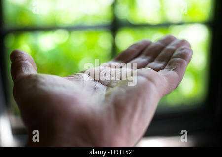 Chiusura del palmo di una mano di un uomo Foto Stock