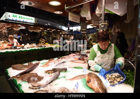 Barcellona, Spagna. 25 Nov, 2016. Un lavoratore raffigurato in un mercato del pesce a La Boqueria a Barcellona, Spagna. Vita quotidiana a La Boqueria, il più ben noto mercato nella città di Barcellona. Il Mercat de Sant Josep de la Boqueria, spesso indicato semplicemente come la Boqueria è un grande mercato pubblico nella Ciutat Vella distretto di Barcellona e della Catalogna, Spagna e una delle città principali punti di riferimento turistici, con un ingresso da La Rambla street. © PACIFIC PRESS/Alamy Live News Foto Stock