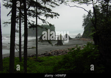 Ruby Beach, situata all'interno dell'Olympic National Park, è famosa per le sue splendide viste costiere, le piscine con maree e le formazioni rocciose uniche che attirano visitatori interessati alla vita marina e alla bellezza naturale. Foto Stock