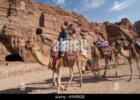 Uomo beduino con cammelli nel Nabatean antica città di Petra, Giordania Foto Stock