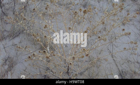 I visitatori del Badlands National Park, Vivian Tate e Paige potranno ammirare la bellezza panoramica del parco, catturando i ricordi in questa fotografia che mostra le splendide formazioni rocciose e i diversi paesaggi della zona. Foto Stock