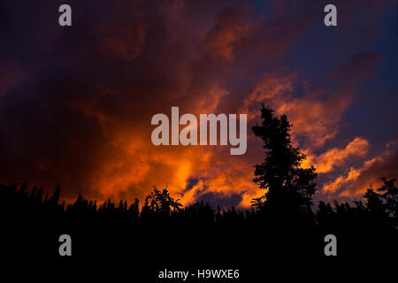 Il tramonto di Toklat, catturato al Denali National Park, mostra la vista mozzafiato del fiume Toklat con la maestosa montagna Denali sullo sfondo. L'immagine cattura la bellezza della natura selvaggia dell'Alaska, con colori vivaci che riflettono l'acqua e le vette innevate della montagna. Foto Stock