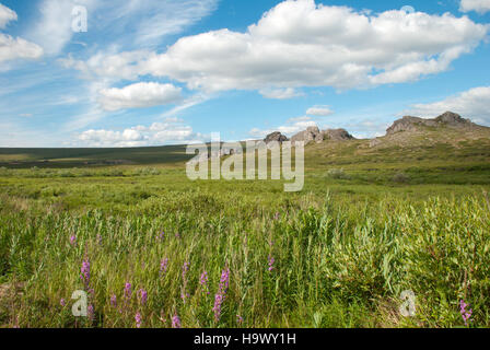 L'immagine del paesaggio estivo mostra il Bering Land Bridge, un collegamento naturale tra Asia e Nord America durante l'ultima era glaciale. Mette in evidenza le caratteristiche geografiche della regione, mostrando i suoi vasti spazi aperti e il terreno accidentato. Foto Stock