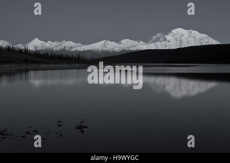 Questa immagine cattura una tranquilla scena di una strada rialzata con anatre in un ambiente naturale. Il tranquillo paesaggio offre una vista tranquilla dell'ambiente, mettendo in risalto la fauna selvatica e la bellezza naturale. Foto Stock