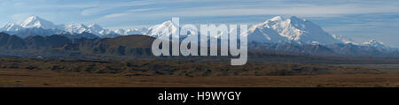 Il "Mile 70 Fall Panorama" offre una vista mozzafiato autunnale dal Mile 70 nel Denali National Park, Alaska. Lo scatto panoramico cattura i vibranti colori autunnali, contrastando con le vette torreggianti e la vasta natura selvaggia. Foto Stock