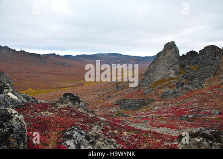 Il Bering Land Bridge, un tempo un collegamento terrestre tra Asia e Nord America, è evidenziato in questa immagine con colori autunnali che ne esaltano la bellezza naturale. L'area, ricca di storia, ha svolto un ruolo significativo nelle prime migrazioni umane e oggi è un ricordo dei mutevoli paesaggi della terra. Foto Stock