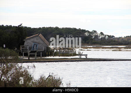 Una foto scattata dalla nuova passerella presso l'Old Ferry Landing mostra il naturalista Shack presso l'Assateague National Seashore, offrendo vedute dell'ecosistema costiero unico del parco. Foto Stock