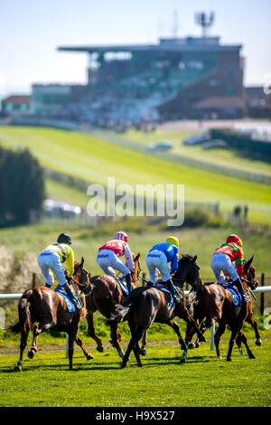 Corsa a cavallo all Ippodromo di Brighton Foto Stock