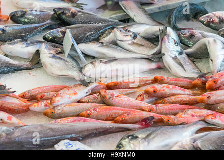 Pesce fresco al mercato della Vucciria a Palermo, Sicilia Foto Stock