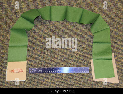 L'USDA si concentra sulla gestione della fauna selvatica, utilizzando tecniche aeree per distribuire esche da topo e rastrellatori biodegradabili. Questo metodo si rivolge a specie invasive come il serpente bruno (Boiga irregularis) e aphis a Guam, contribuendo a mitigare i danni ecologici. Il progetto fa parte degli sforzi di gestione della fauna selvatica dell'USDA volti a ridurre le minacce alle specie invasive. Foto Stock