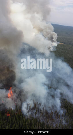 Il Druid Complex nel parco nazionale di Yellowstone è una caratteristica geotermica nota per le sue piscine termali dinamiche e le sue formazioni geologiche uniche, contribuendo alla ricca biodiversità e alla ricerca geotermica del parco. Foto Stock