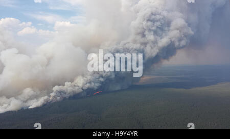 Il Druid Complex nel parco nazionale di Yellowstone è noto per le sue caratteristiche geotermiche ed è un'area significativa per la ricerca scientifica sull'attività vulcanica di Yellowstone e sulla dinamica degli ecosistemi. Foto Stock