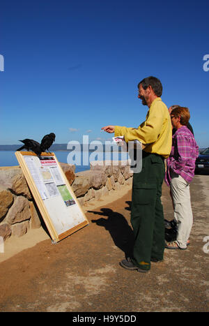 Il Druid Complex nel parco nazionale di Yellowstone è un'area conosciuta per le sue caratteristiche geotermiche, la fauna selvatica e i paesaggi naturali. Foto Stock