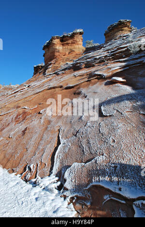 Gli hoodoos nel Parco Nazionale di Zion sono formazioni geologiche create dall'erosione e dai processi di invecchiamento. Queste alte e sottili guglie di roccia offrono immagini sorprendenti e sono una caratteristica notevole del paesaggio del parco. Gli hoodoo fanno parte della ricca storia geologica del parco e contribuiscono al suo aspetto distintivo. Foto Stock