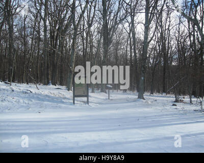 La Stony Man Trailhead nel parco nazionale di Shenandoah offre ai visitatori l'accesso a splendide vedute panoramiche dei monti Appalachi. Il sentiero offre un'escursione molto apprezzata dagli appassionati delle attività all'aria aperta. Foto Stock
