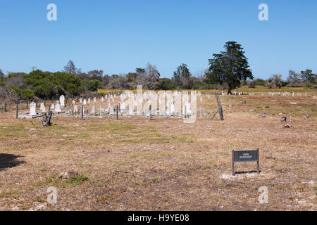 Il lebbroso cimitero, Robben Island Museum, Robben Island Cape Town, Sud Africa Foto Stock