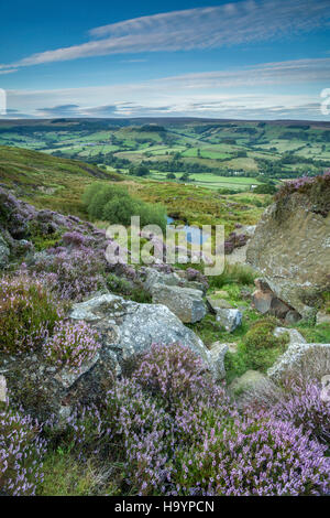 Vista su Rosedale Abbey in North York Moors. Foto Stock