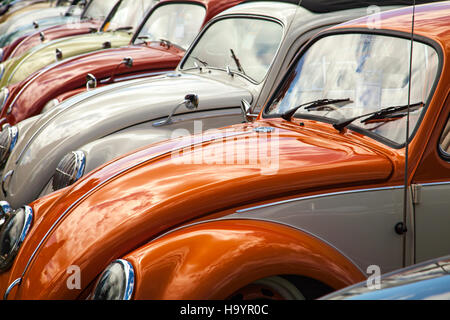 Linea di VW Coleotteri a Harewood House VW Fest 2016 Foto Stock