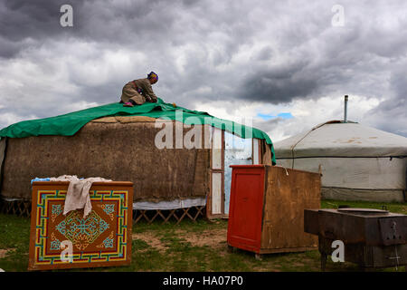 Mongolia, Ovorkhangai provincia, Orkhon valley, campo nomadi migrazione, costruzione di yurt Foto Stock