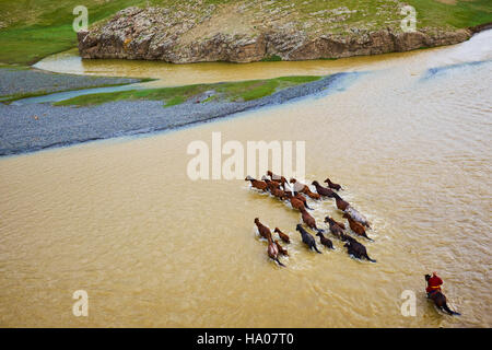 Mongolia, Ovorkhangai provincia, Orkhon valley, fiume Orkhon, campo nomadi, mongola horserider con il loro allevamento di cavalli che attraversano il fiume Foto Stock