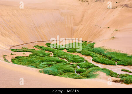 Mongolia, Zavkhan provincia, deserte paesaggio di dune di sabbia nella steppa Foto Stock