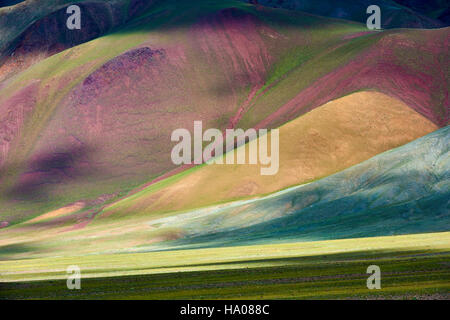 Mongolia, Bayan-Ulgii provincia, Mongolia occidentale, le montagne colorate del degli Altai Foto Stock