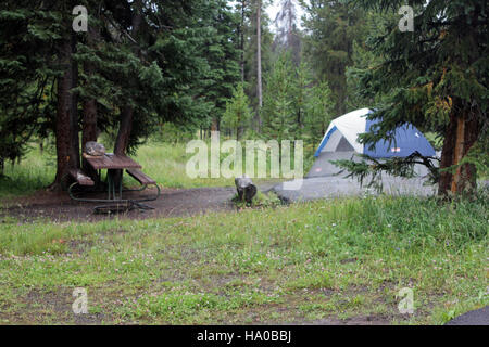 16775931042 yellowstonenps Bridge Bay sito del campeggio Foto Stock