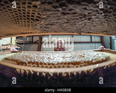 Al laboratorio di scienze biologiche Andy Ulsamer dell'USDA a Beltsville, Maryland, i ricercatori studiano le popolazioni di api e la produzione di miele. I processi di estrazione del miele vengono dimostrati mediante centrifughe e filtri a rete, sottolineando l'importanza dell'apicoltura nella sostenibilità agricola. Foto Stock