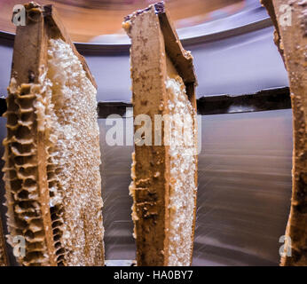 Presso il laboratorio Agricultural Research Service del Dipartimento dell'Agricoltura degli Stati Uniti a Beltsville, Maryland, i ricercatori studiano le tecniche di estrazione del miele per migliorare la produttività e la sostenibilità dell'agricoltura. Foto Stock