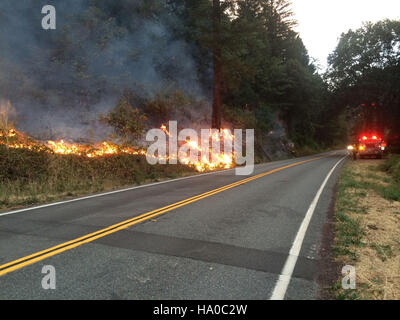 L'incendio del complesso Happy Camp nel 2014 ha spinto gli sforzi antincendio e la gestione delle risorse nelle foreste nazionali, affrontando gli impatti degli incendi e la protezione degli ecosistemi. Foto Stock