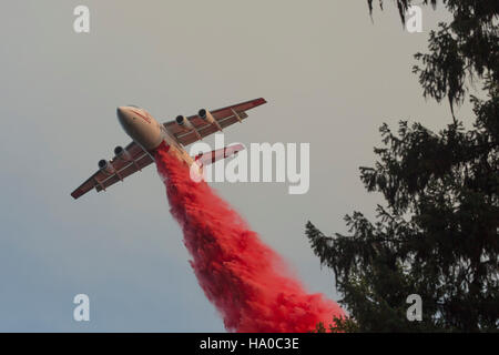 I vigili del fuoco utilizzano aerocisterne e ritardanti di fuoco in risposta all'incendio dell'Happy Camp Complex. Questa operazione ha lo scopo di controllare la diffusione dell'incendio e proteggere gli ecosistemi circostanti. Foto Stock