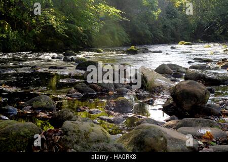 Acqua di Hebden Foto Stock