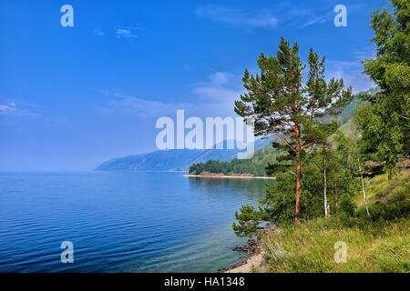 Pino sul bordo della sponda ripida del lago Baikal. Regione di Irkutsk. La Russia Foto Stock