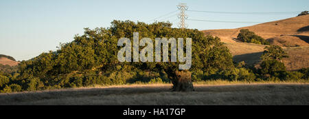 Un piano di conservazione sviluppato dall'NRCS dell'USDA per la contea di Contra Costa, California. Comprende pratiche sostenibili per la gestione del territorio e del bestiame, con pompe a energia solare, serbatoi di stoccaggio e abbeveratoi come parte del programma di incentivi per la qualità ambientale (EQIP). Foto Stock