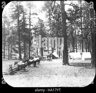 Grand Canyon nps 20878 7199075886 Grand Canyon Matthes Survey del 1902 Tende Campeggio a Bordo Foto Stock