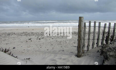L'Oceanside Walk-in Campground presso l'Assateague National Park offre ai visitatori un'opportunità unica di sperimentare la natura costiera. Questo campeggio si trova vicino alla spiaggia e offre un ambiente sereno per attività ricreative all'aperto e osservazione della fauna selvatica. Foto Stock