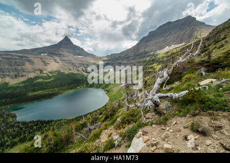 29142521950 glaciernps Oldman Lago, indietreggia di picco, e Mt. Morgan Foto Stock