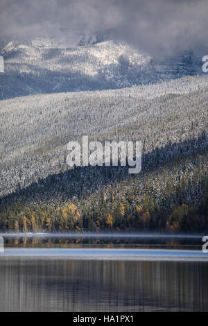 La prima nevicata del 2016 al Glacier National Park è stata catturata in questa fotografia ritratto. La neve ha segnato l'inizio della stagione invernale, contribuendo all'ecosistema unico del parco e alle condizioni meteorologiche. Foto Stock
