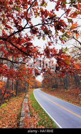 Nel tardo autunno dello Shenandoah National Park si possono ammirare le vivaci foglie autunnali, con foglie dorate e rosse che contrastano con i paesaggi boscosi e le colline ondulate del parco. Foto Stock
